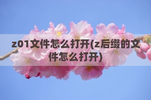 z01文件怎么打开(z后缀的文件怎么打开)