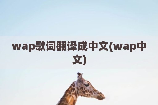 wap歌词翻译成中文(wap中文)