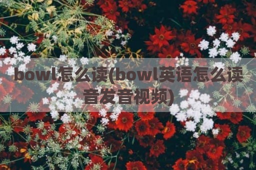 bowl怎么读(bowl英语怎么读音发音视频)