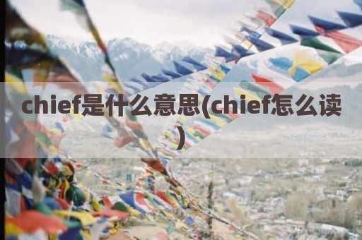 chief是什么意思(chief怎么读)