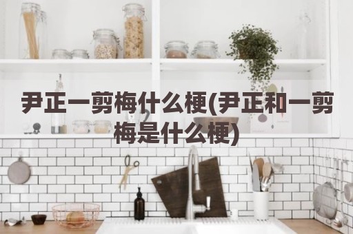 尹正一剪梅什么梗(尹正和一剪梅是什么梗)