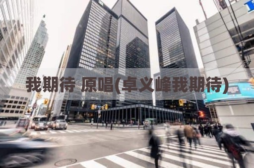 我期待 原唱(卓义峰我期待)