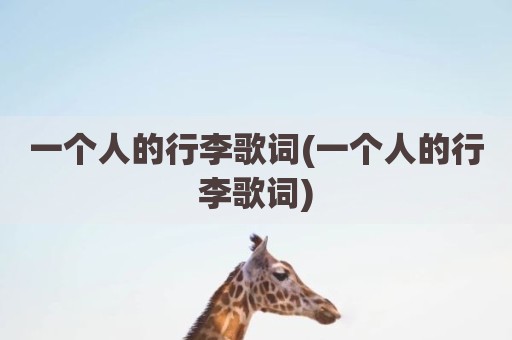 一个人的行李歌词(一个人的行李歌词)