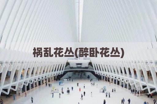 祸乱花丛(醉卧花丛)