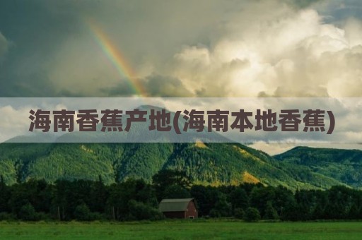 海南香蕉产地(海南本地香蕉)