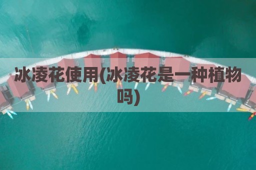 冰凌花使用(冰凌花是一种植物吗)
