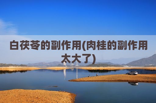 白茯苓的副作用(肉桂的副作用太大了)