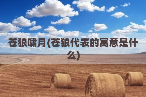 苍狼啸月(苍狼代表的寓意是什么)