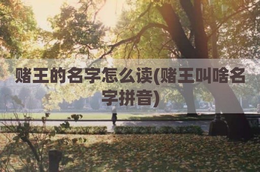 赌王的名字怎么读(赌王叫啥名字拼音)