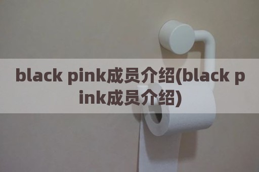 black pink成员介绍(black pink成员介绍)
