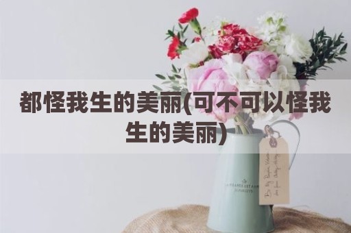 都怪我生的美丽(可不可以怪我生的美丽)