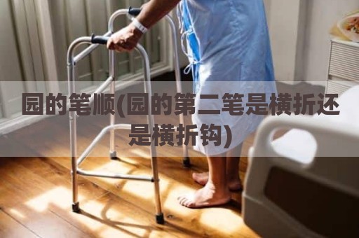 园的笔顺(园的第二笔是横折还是横折钩)