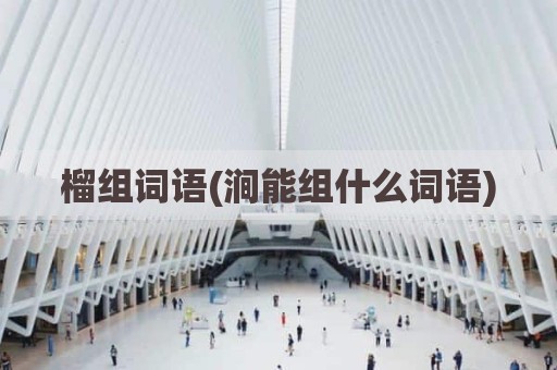 榴组词语(涧能组什么词语)