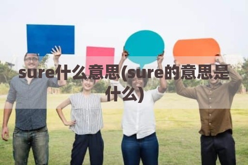 sure什么意思(sure的意思是什么)