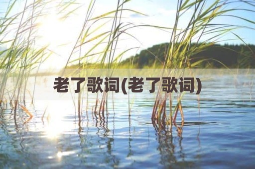 老了歌词(老了歌词)