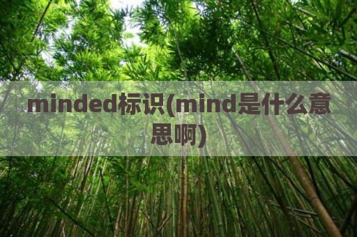 minded标识(mind是什么意思啊)