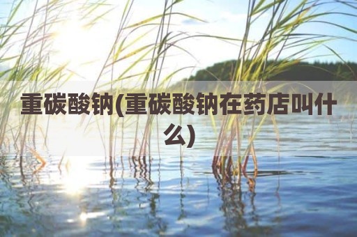 重碳酸钠(重碳酸钠在药店叫什么)