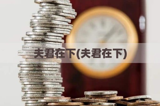 夫君在下(夫君在下)