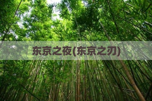 东京之夜(东京之刃)