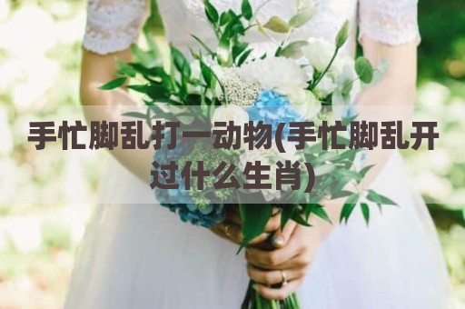 手忙脚乱打一动物(手忙脚乱开过什么生肖)