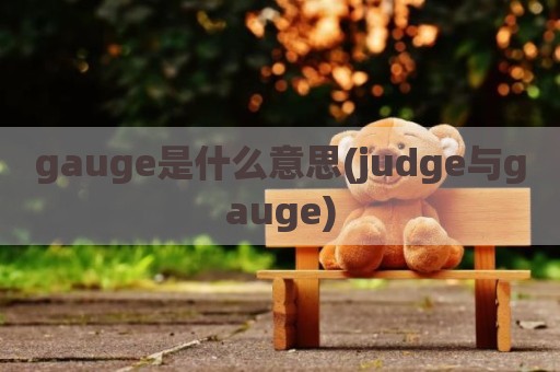 gauge是什么意思(judge与gauge)