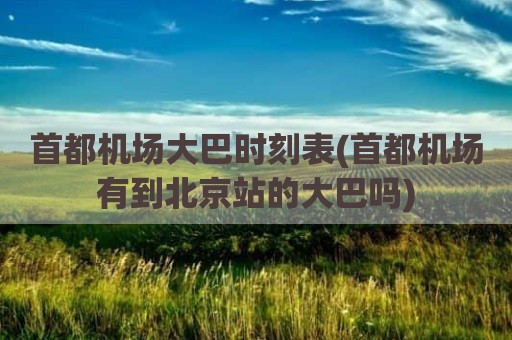 首都机场大巴时刻表(首都机场有到北京站的大巴吗)