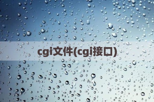 cgi文件(cgi接口)