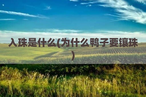 入珠是什么(为什么鸭子要镶珠)