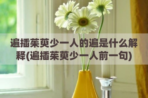 遍插茱萸少一人的遍是什么解释(遍插茱萸少一人前一句)