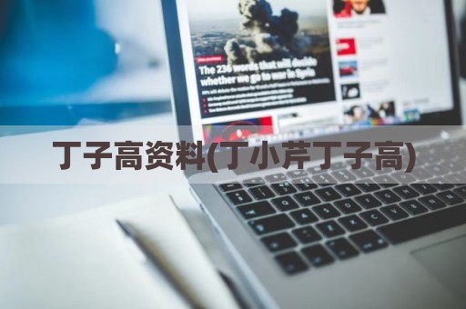 丁子高资料(丁小芹丁子高)