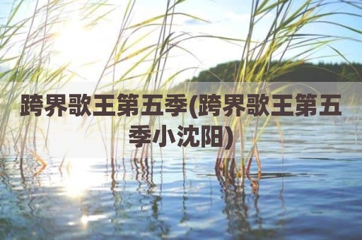 跨界歌王第五季(跨界歌王第五季小沈阳)