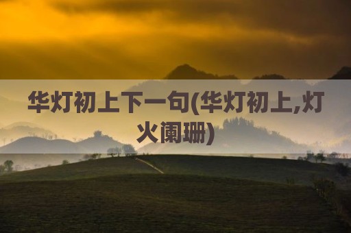 华灯初上下一句(华灯初上,灯火阑珊)