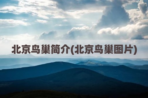 北京鸟巢简介(北京鸟巢图片)