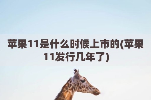 苹果11是什么时候上市的(苹果11发行几年了)