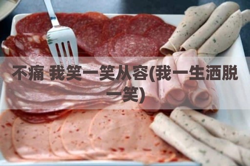 不痛 我笑一笑从容(我一生洒脱一笑)