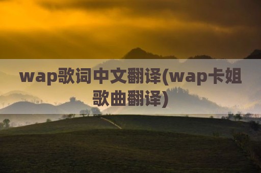 wap歌词中文翻译(wap卡姐歌曲翻译)