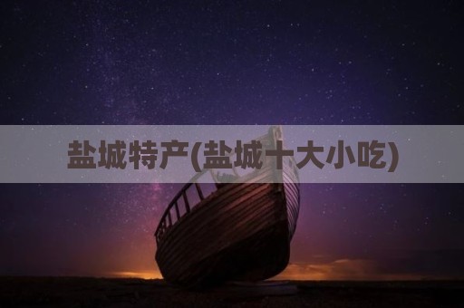盐城特产(盐城十大小吃)