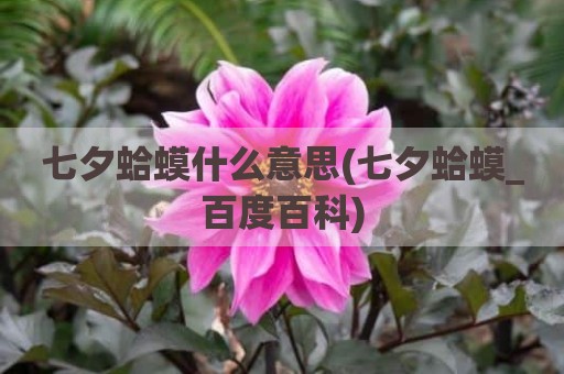 七夕蛤蟆什么意思(七夕蛤蟆_百度百科)