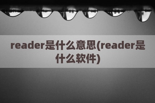reader是什么意思(reader是什么软件)