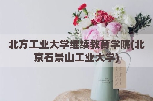 北方工业大学继续教育学院(北京石景山工业大学)