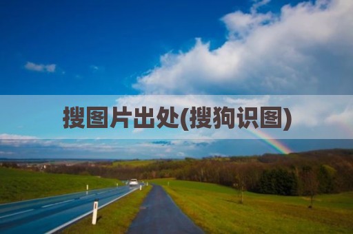 搜图片出处(搜狗识图)