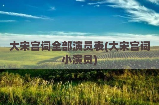 大宋宫词全部演员表(大宋宫词小演员)