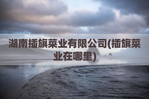 湖南插旗菜业有限公司(插旗菜业在哪里)