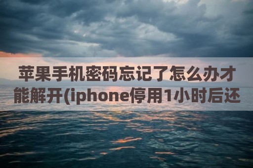 苹果手机密码忘记了怎么办才能解开(iphone停用1小时后还有几次机会)