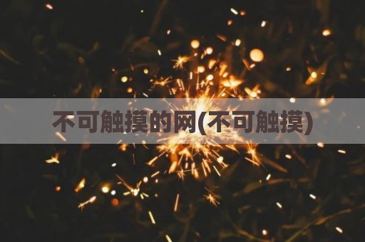 不可触摸的网(不可触摸)