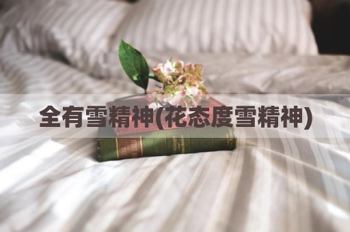 全有雪精神(花态度雪精神)
