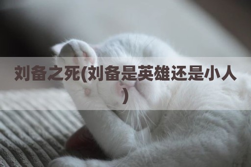 刘备之死(刘备是英雄还是小人)