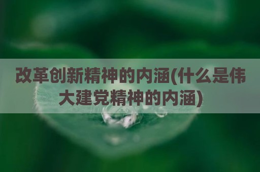 改革创新精神的内涵(什么是伟大建党精神的内涵)