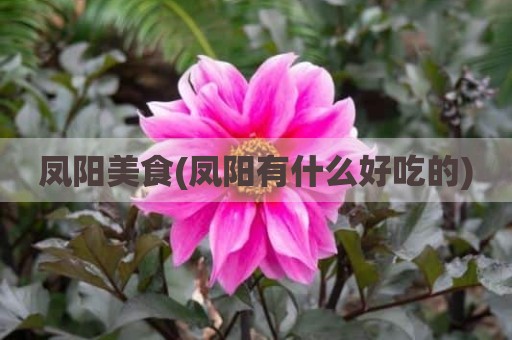凤阳美食(凤阳有什么好吃的)