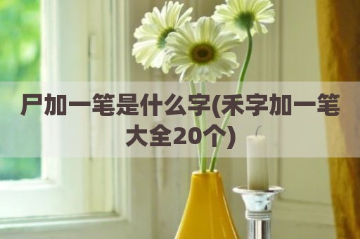尸加一笔是什么字(禾字加一笔大全20个)